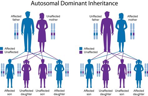 are kinks inherited|Study: Sexual Desire is in Your Genes 